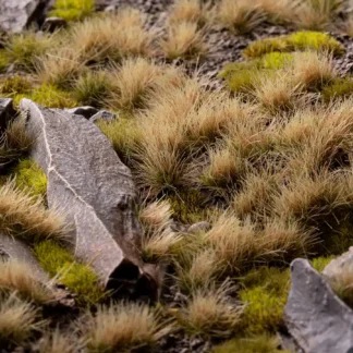 Grass Tufts - Autumn