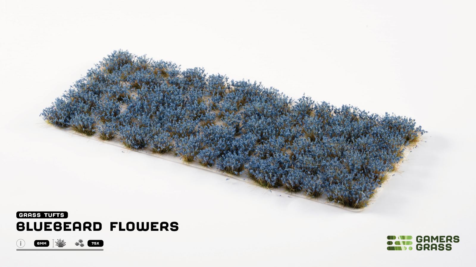 Bluebeard Flowers - Image 3