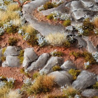Forget-me-not Tiny Flowers