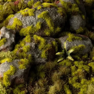 Grass Tufts - Moss