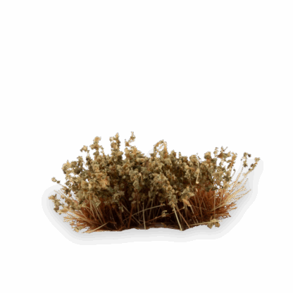 Swamp Shrubs - Image 4