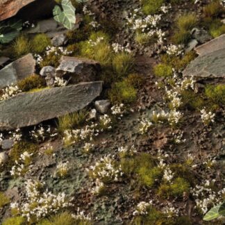 White Lily Tiny Flowers